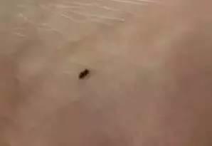 美瞳線掉痂，我扣了一下，結(jié)果不上色了！